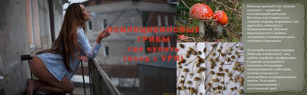 крисы Баксан