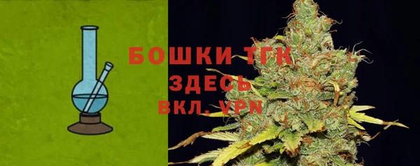 крисы Баксан