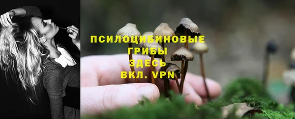 мяу мяу мука Карабаново