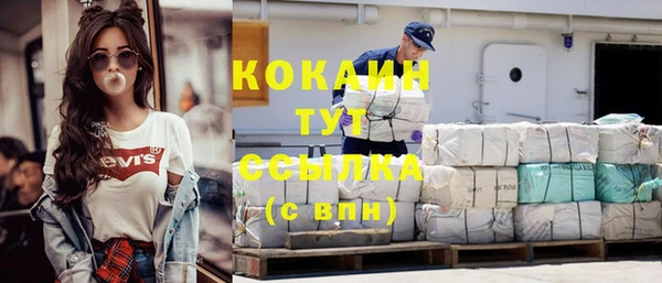 крисы Баксан