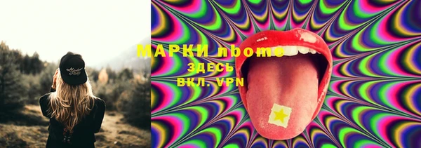 крисы Баксан