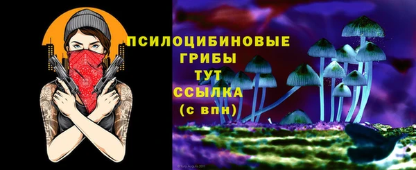 крисы Баксан