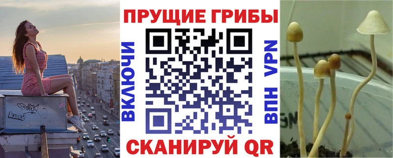 Псилоцибиновые грибы GOLDEN TEACHER Верхнеуральск